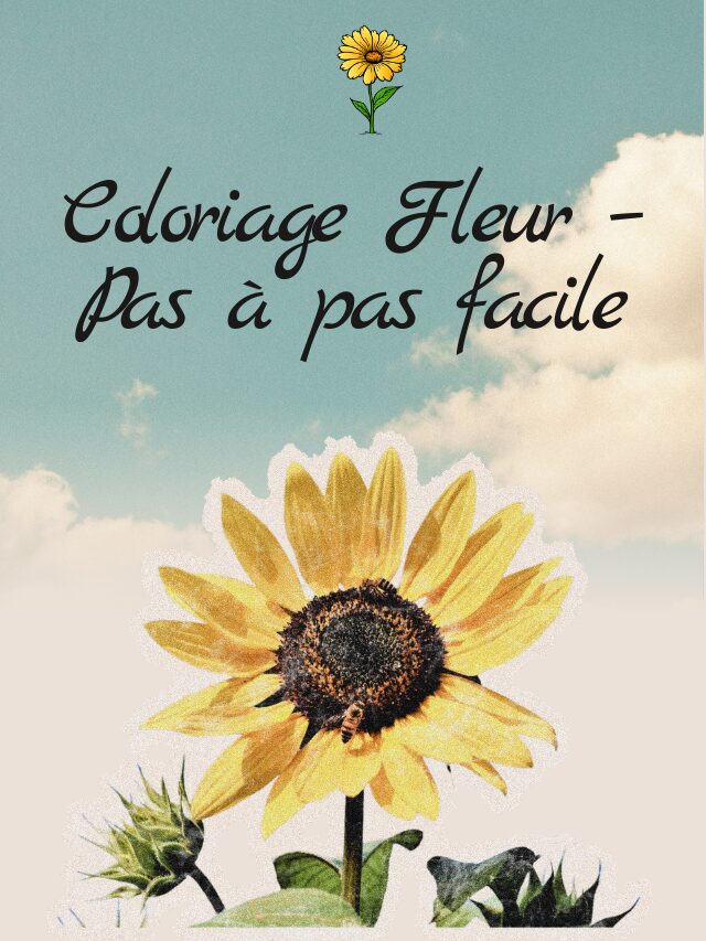 Coloriage Fleur – Pas à pas facile