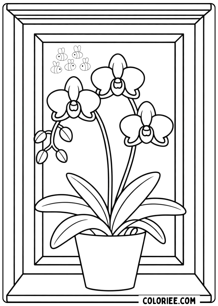 Coloriage orchidée