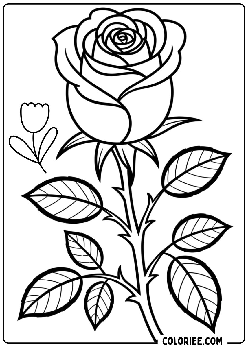 Coloriage rose