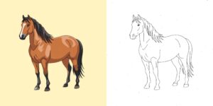 coloriage cheval ft