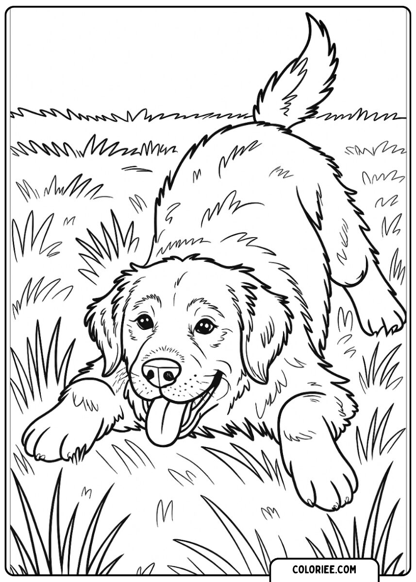 Chiot jouant dans l’herbe
