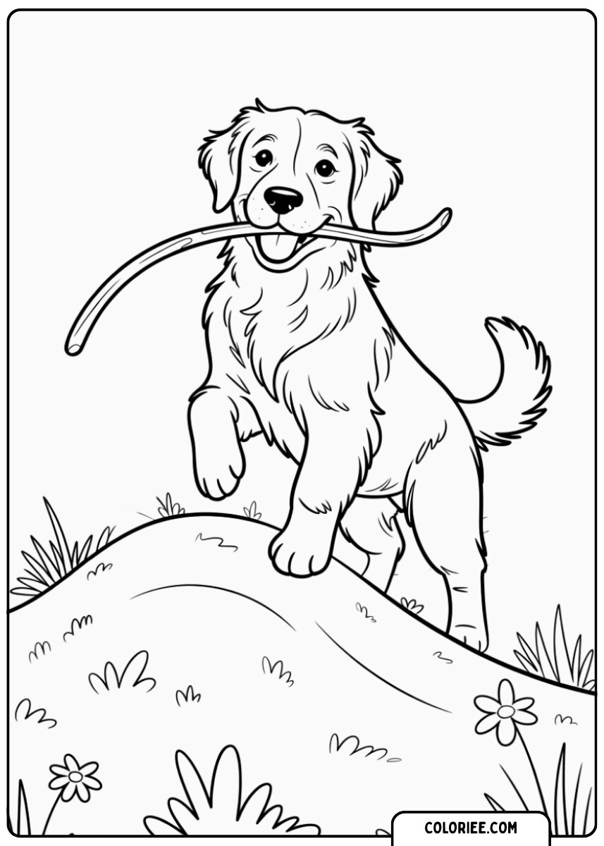 Chiot avec une branche