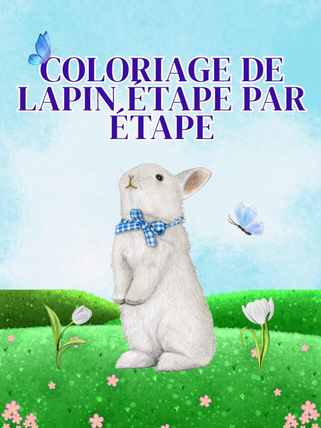Guide de coloriage du lapin étape par étape