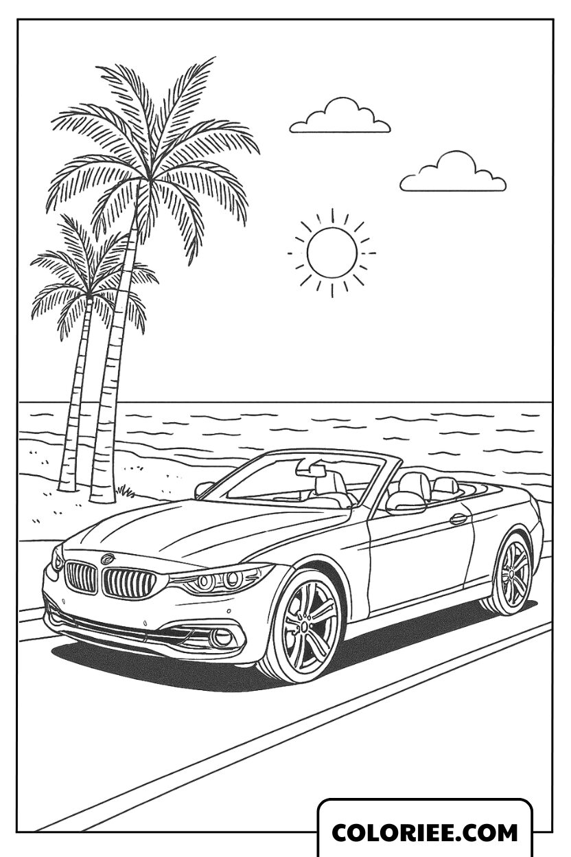 BMW cabriolet sous le soleil tropical