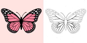 Coloriage papillon ft