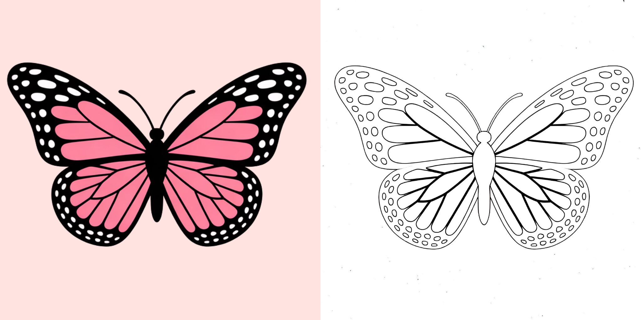 Coloriage papillon ft