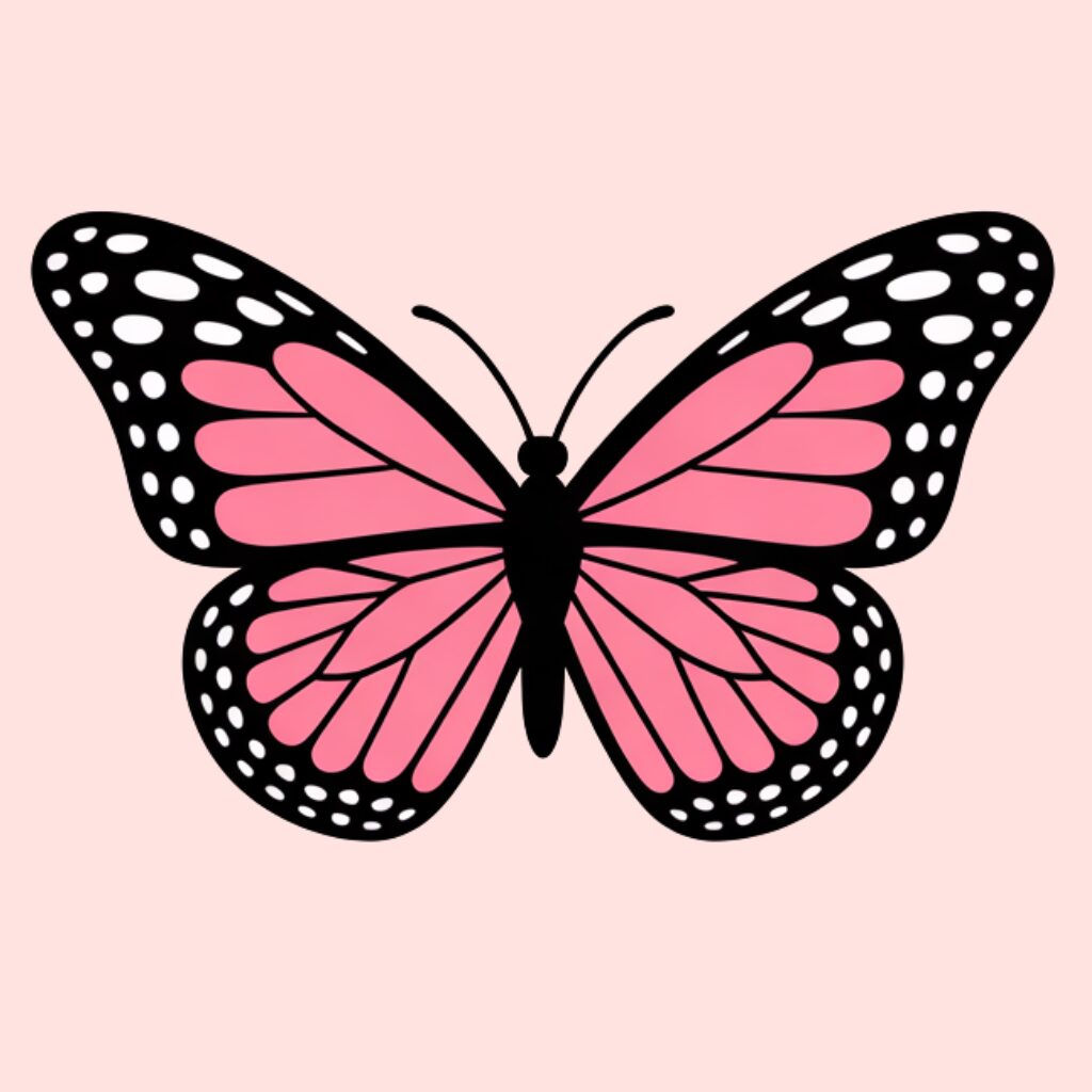 Coloriage papillon par numéros