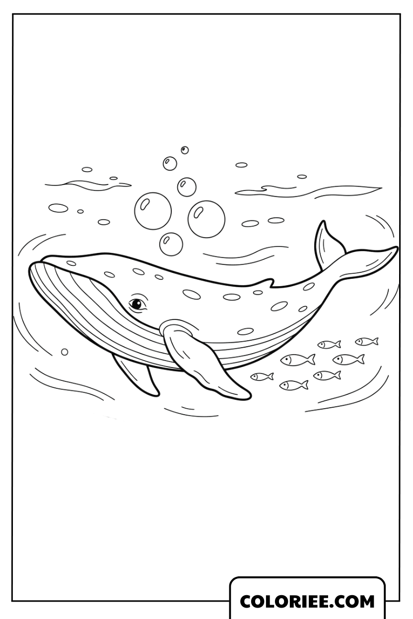 La baleine bleue nageant parmi les bulles